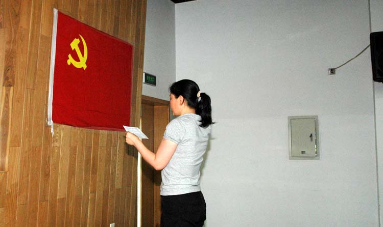 公司党委副书记董变林同志领誓